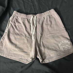 Darc Sport Gray and Purple Athletic Shorts with Elastic Waistband